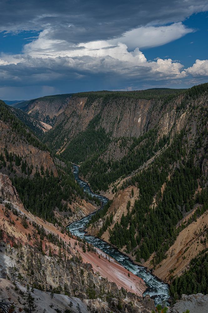 USA, Wyoming. Yellowstone River and Grand Canyon, Yellowstone National Park from Inspiration Point